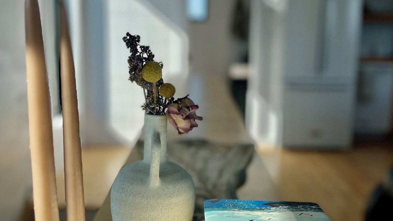 Photo of Others in Terra Nova