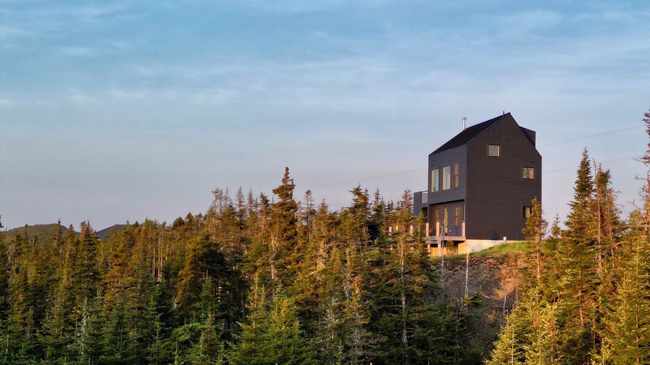 Photo of Others in Terra Nova