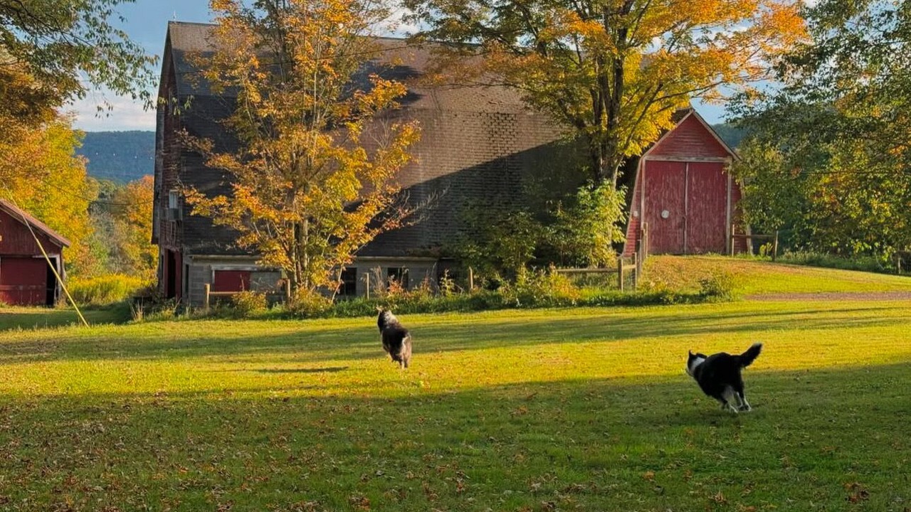 Photo of Outdoor in De Lancey