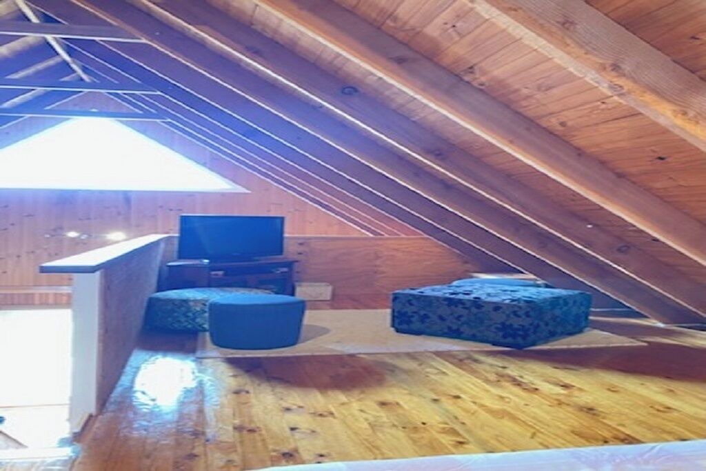 Photo of Others in Millfield