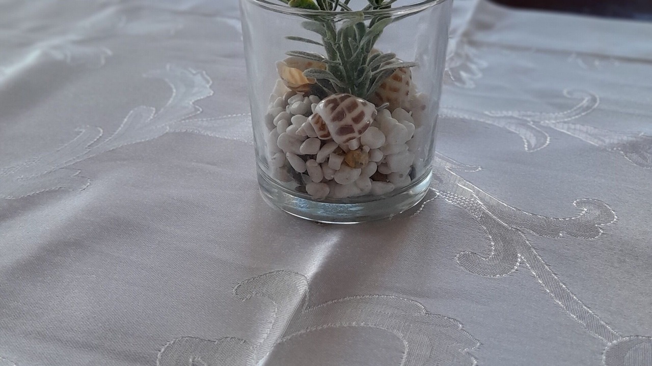 Photo of Others in Millfield