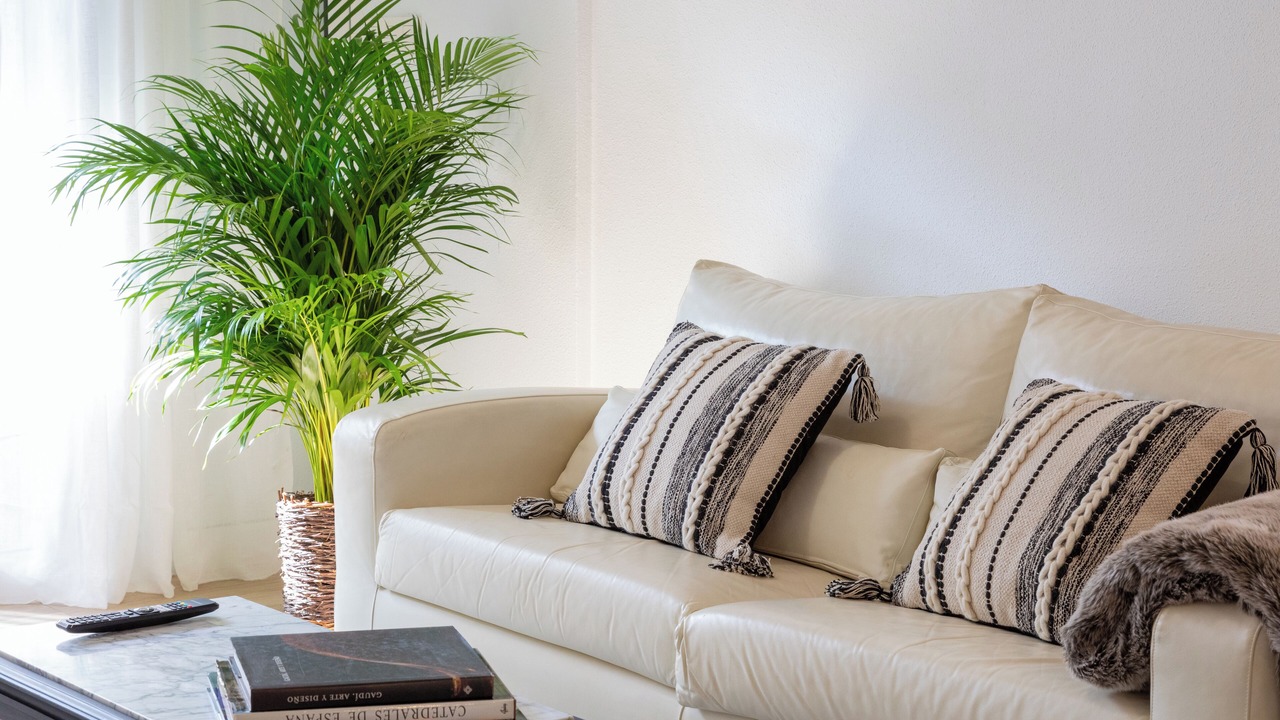Photo of Livingroom in Algoros