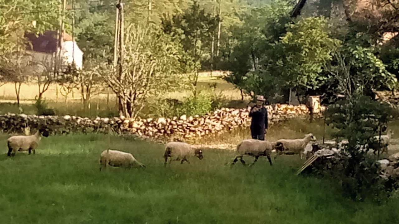 Photo of Others in Cenevieres