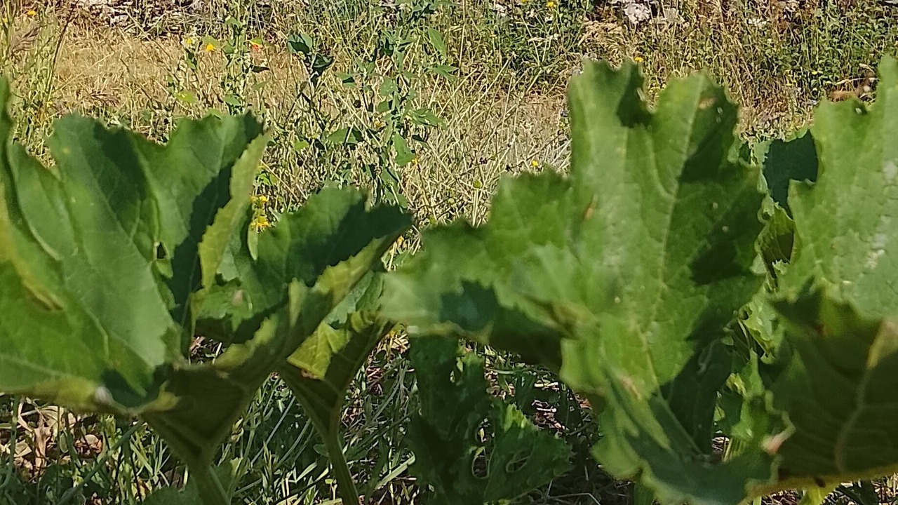 Photo of Outdoor in Cenevieres