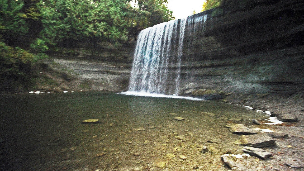 Photo of Others in Manitoulin District