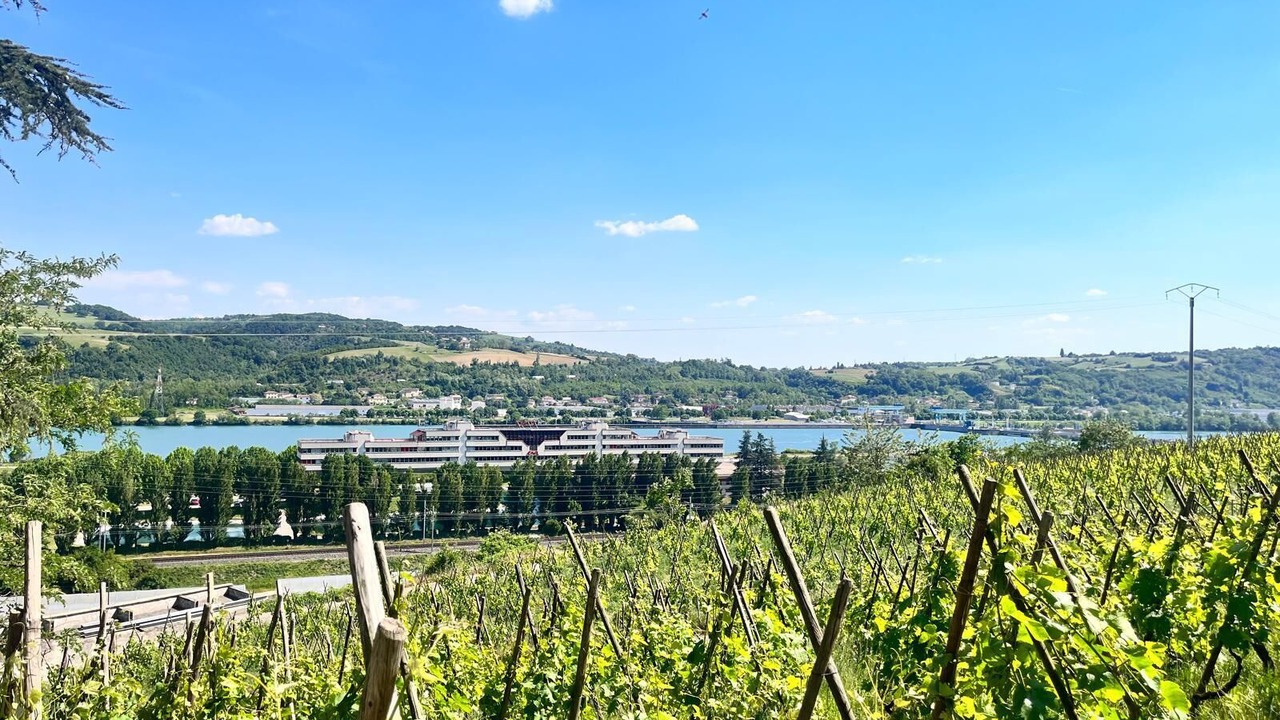 Photo of Others in Ampuis