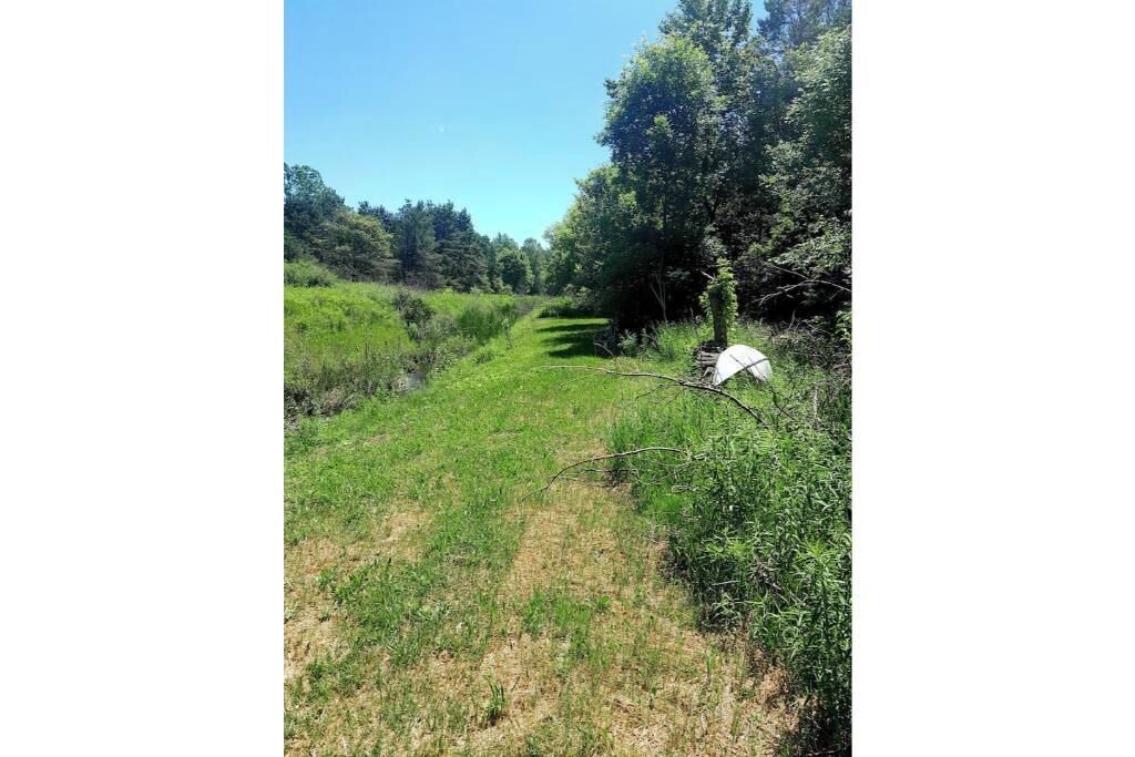 Photo of Outdoor in Cass City