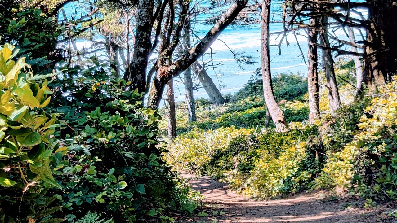 Photo of Others in Otter Rock