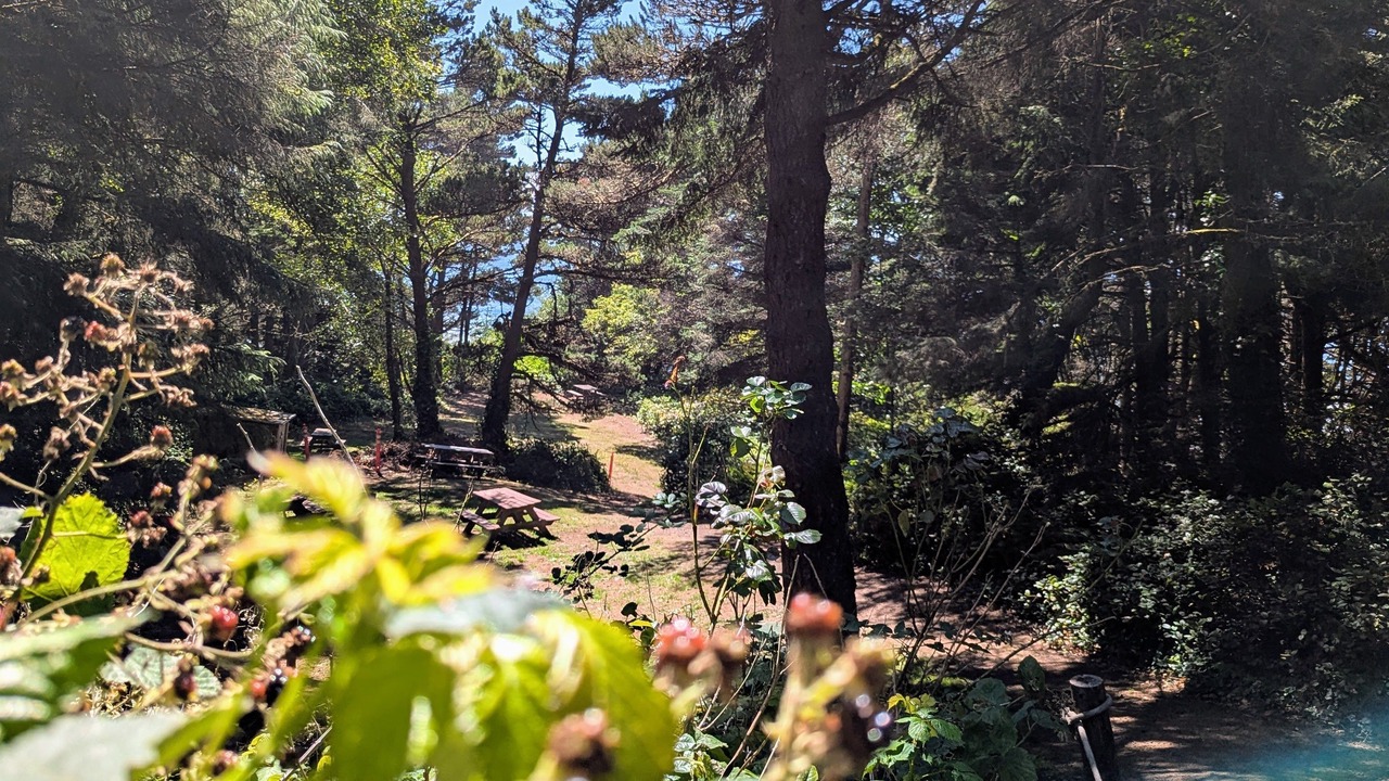 Photo of Outdoor in Otter Rock