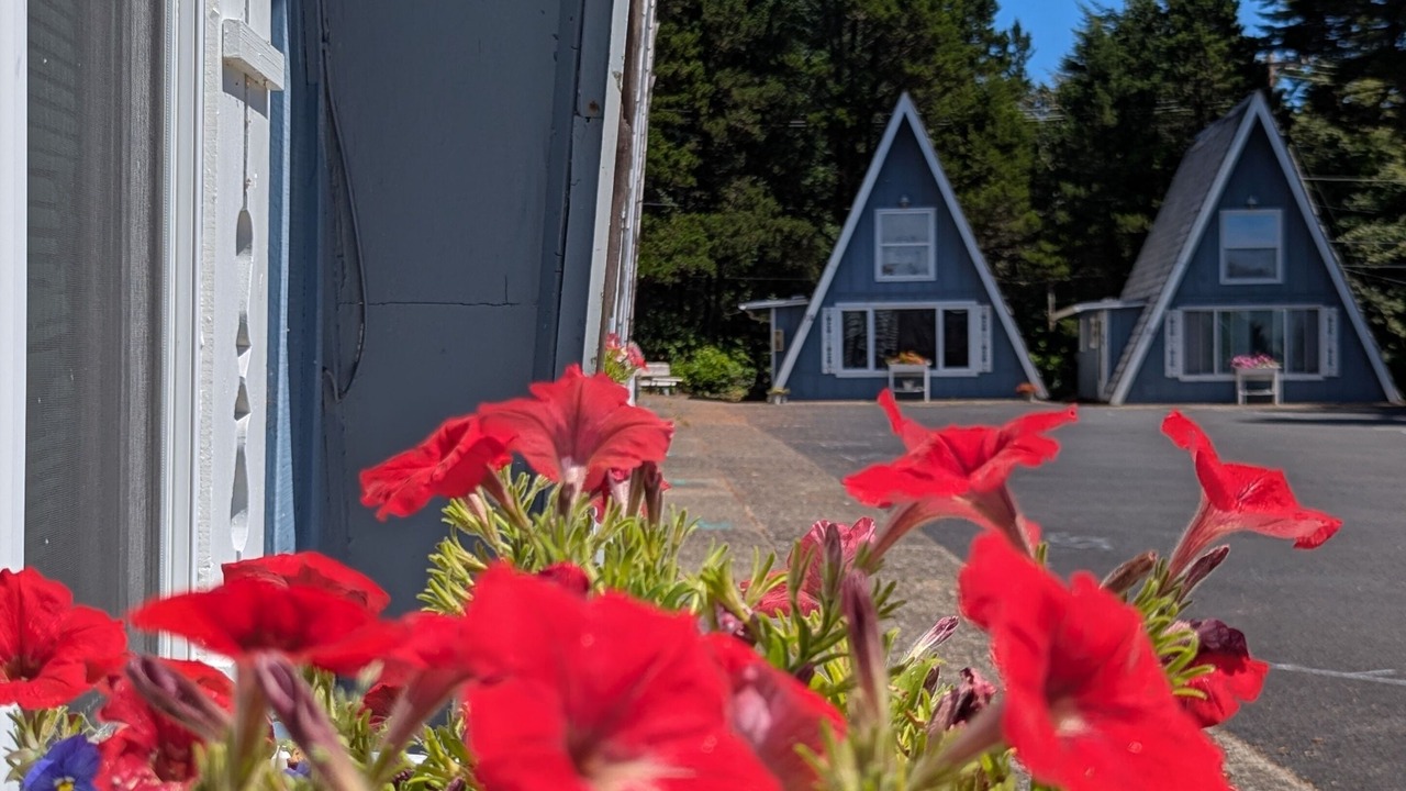 Photo of Outdoor in Otter Rock