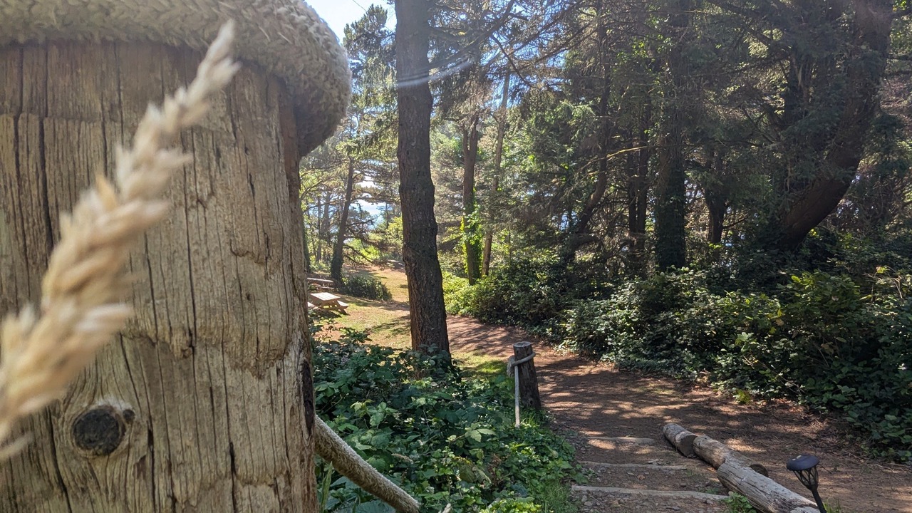 Photo of Outdoor in Otter Rock