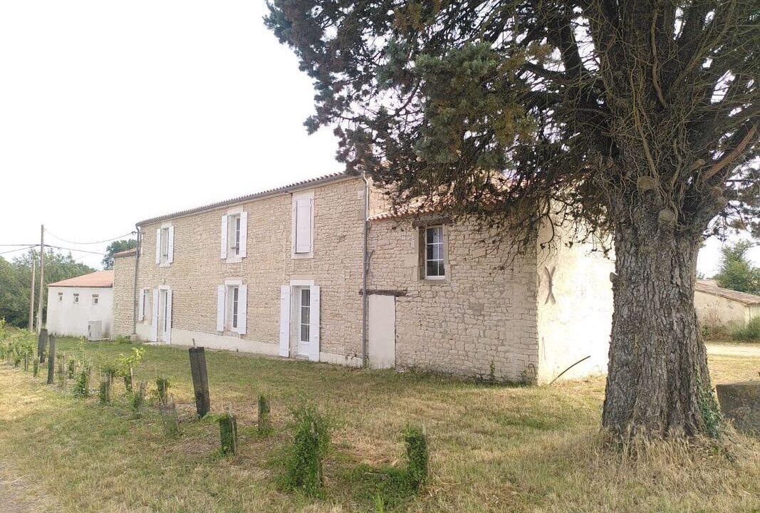 Photo of Outdoor in Saint Cyr du Doret