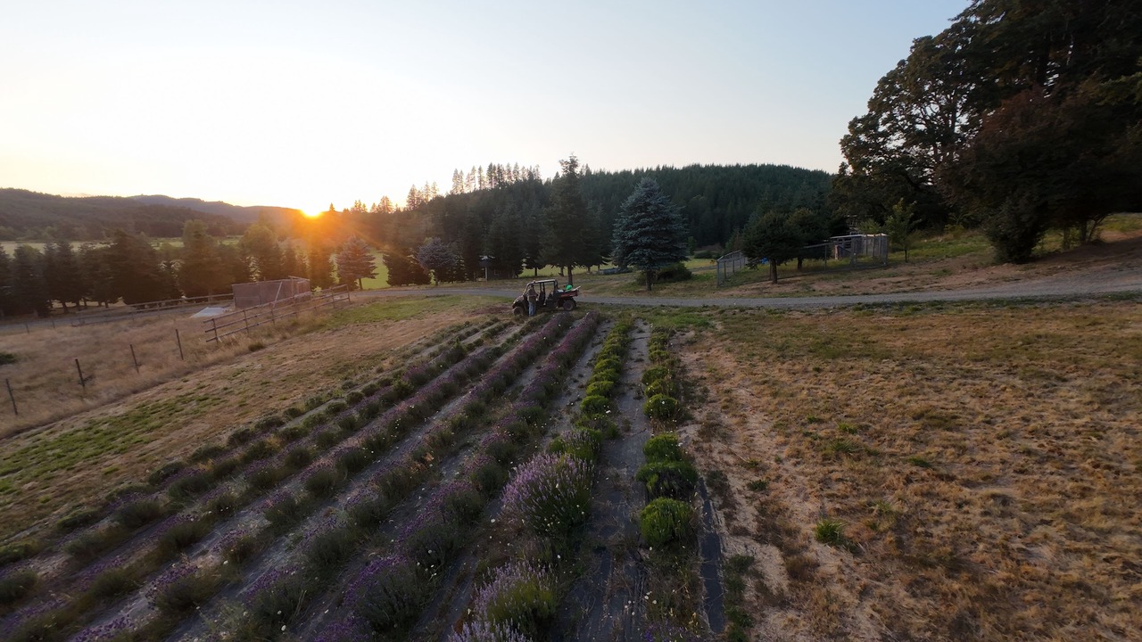 Photo of Others in Eugene