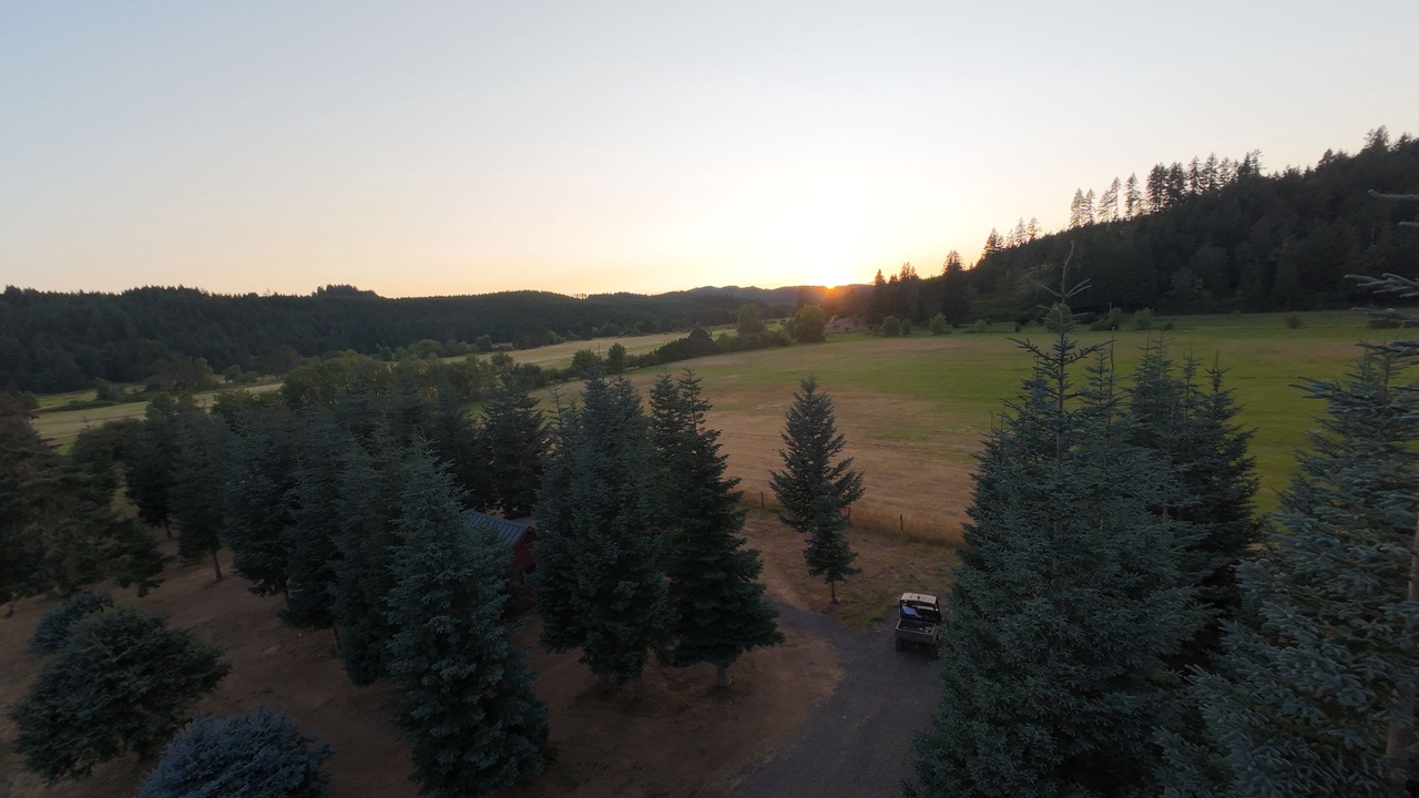 Photo of Others in Eugene