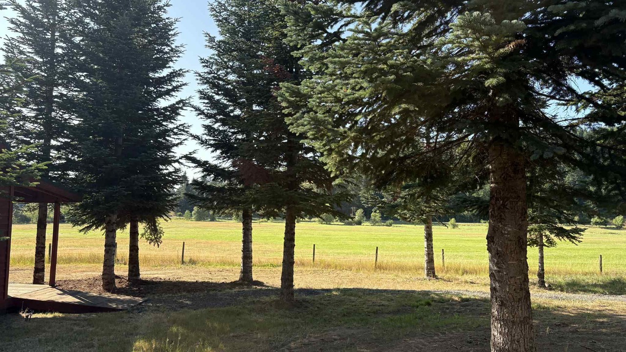 Photo of Others in Eugene
