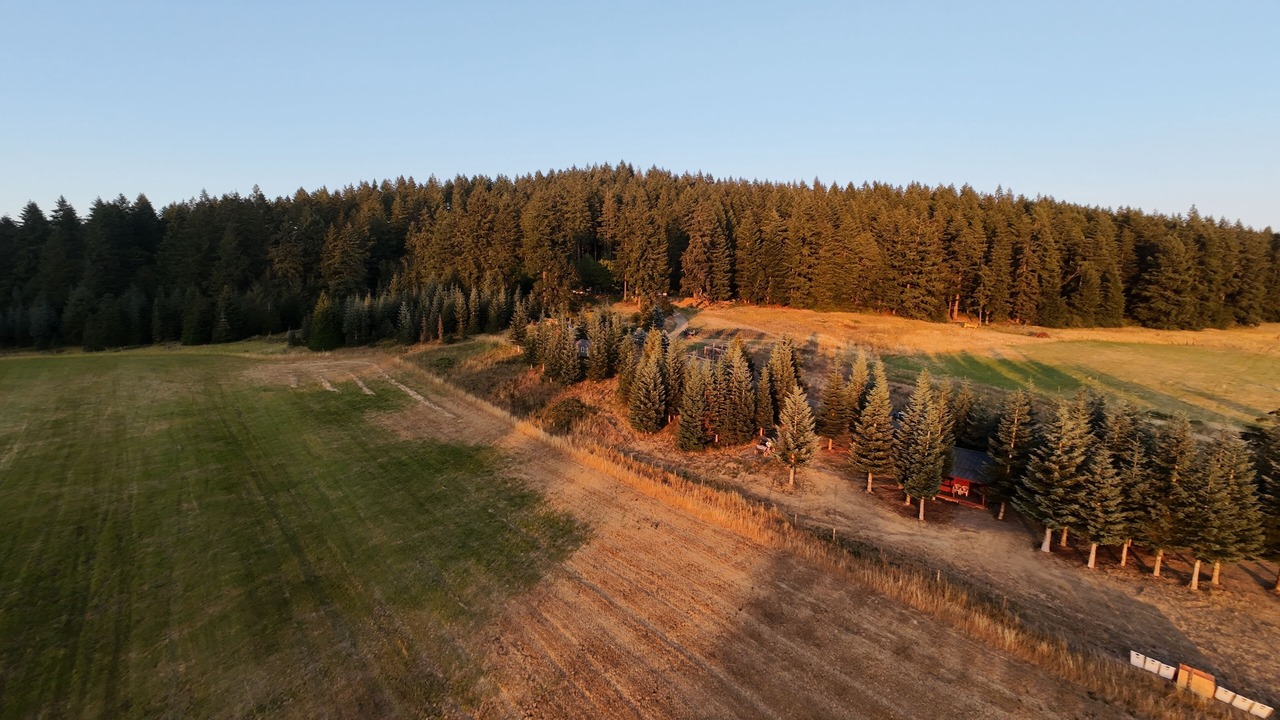 Photo of Outdoor in Eugene