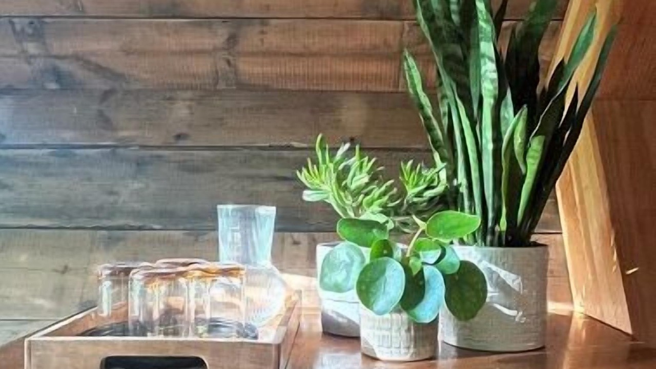 Photo of Others in Winchester