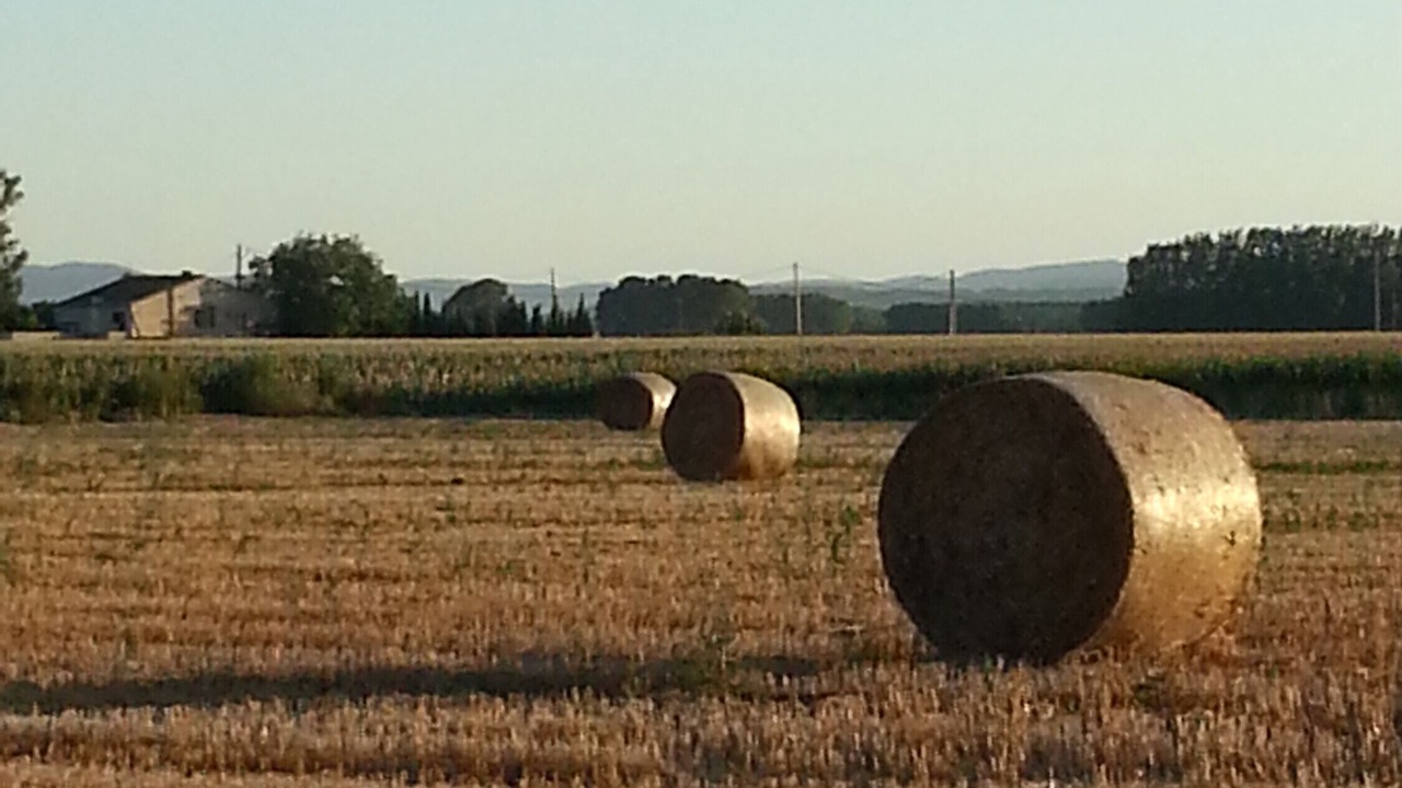 Photo of Others in Bellcaire d'Emporda
