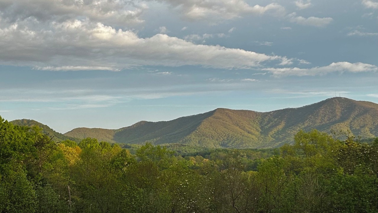 Photo of Others in Mount Airy