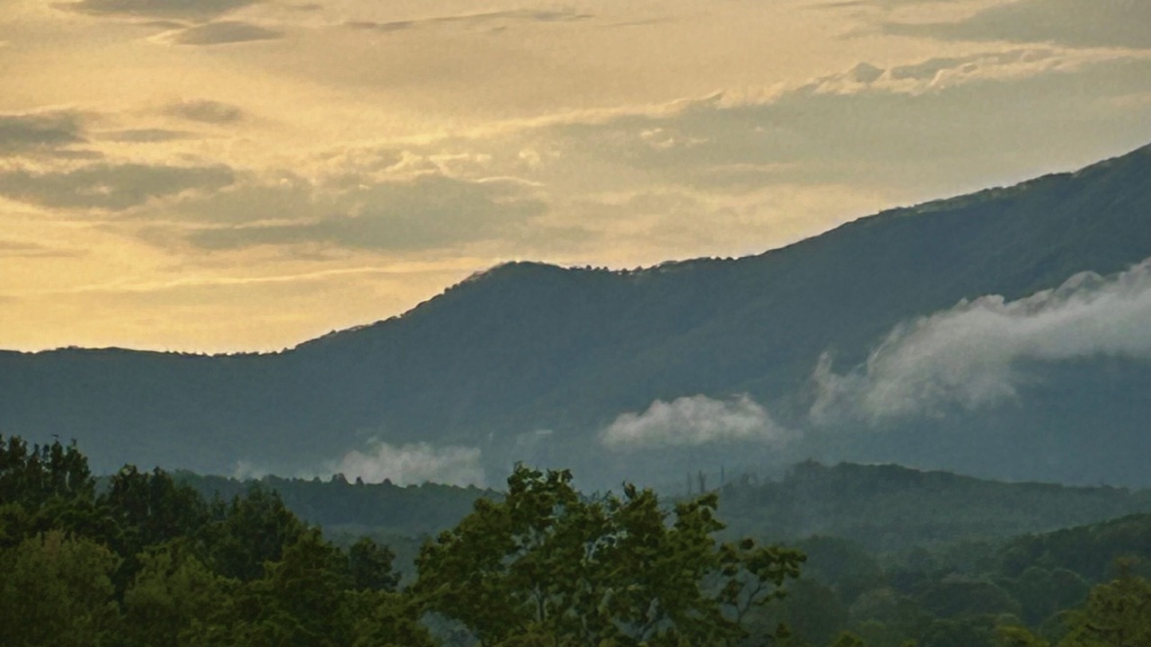 Photo of Others in Mount Airy