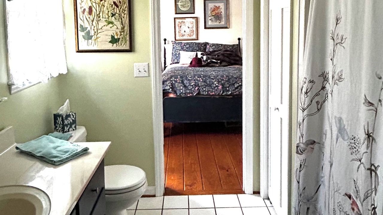 Photo of Bathroom in Mount Airy