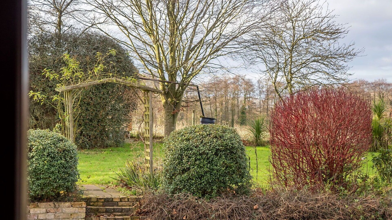 Photo of Outdoor in Surlingham