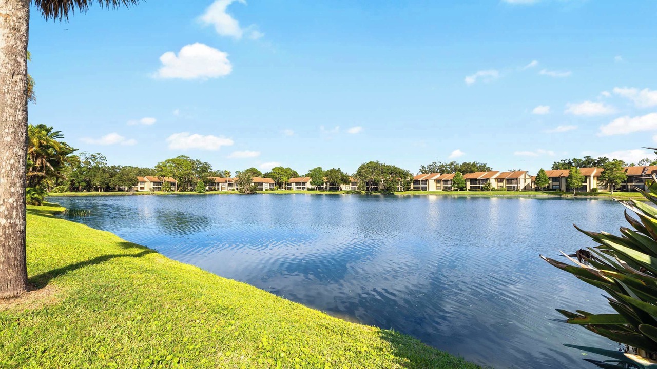 Photo of Outdoor in Oldsmar