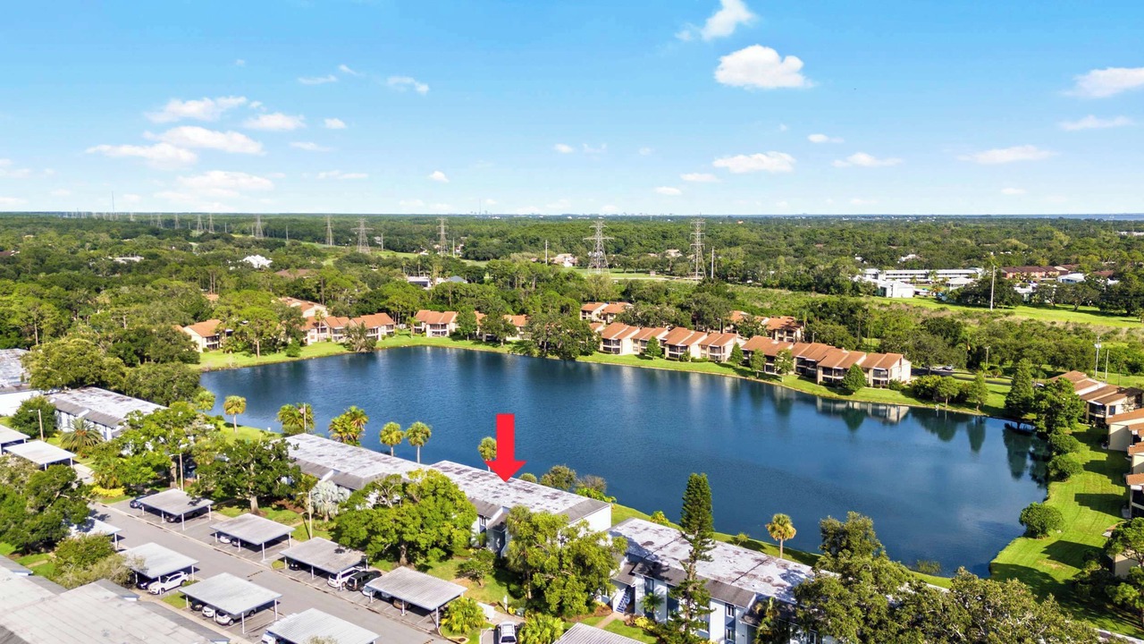 Photo of Outdoor in Oldsmar