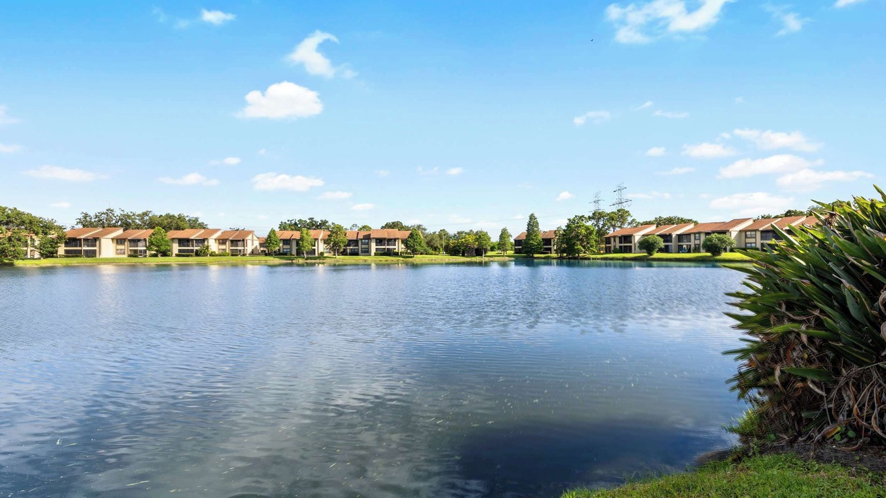 Photo of Others in Oldsmar