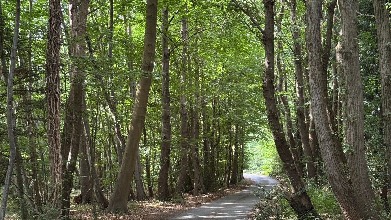 Photo of Others in Cobham