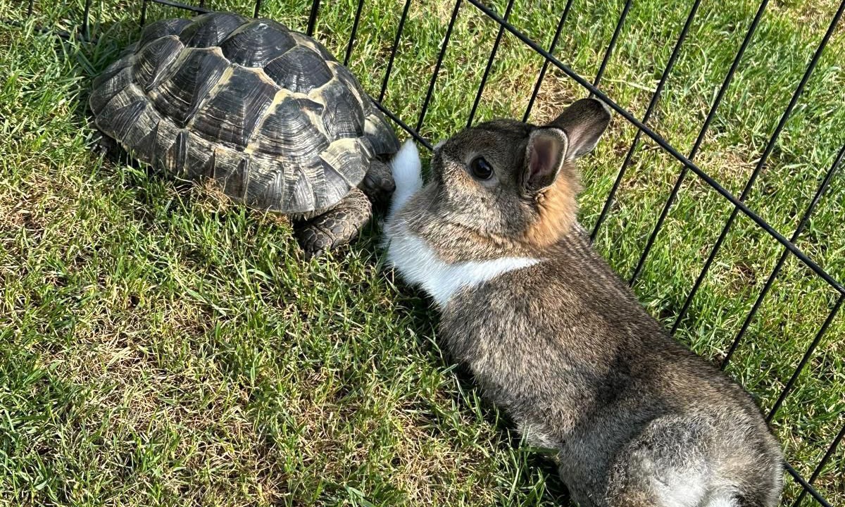 Photo of Others in Cobham