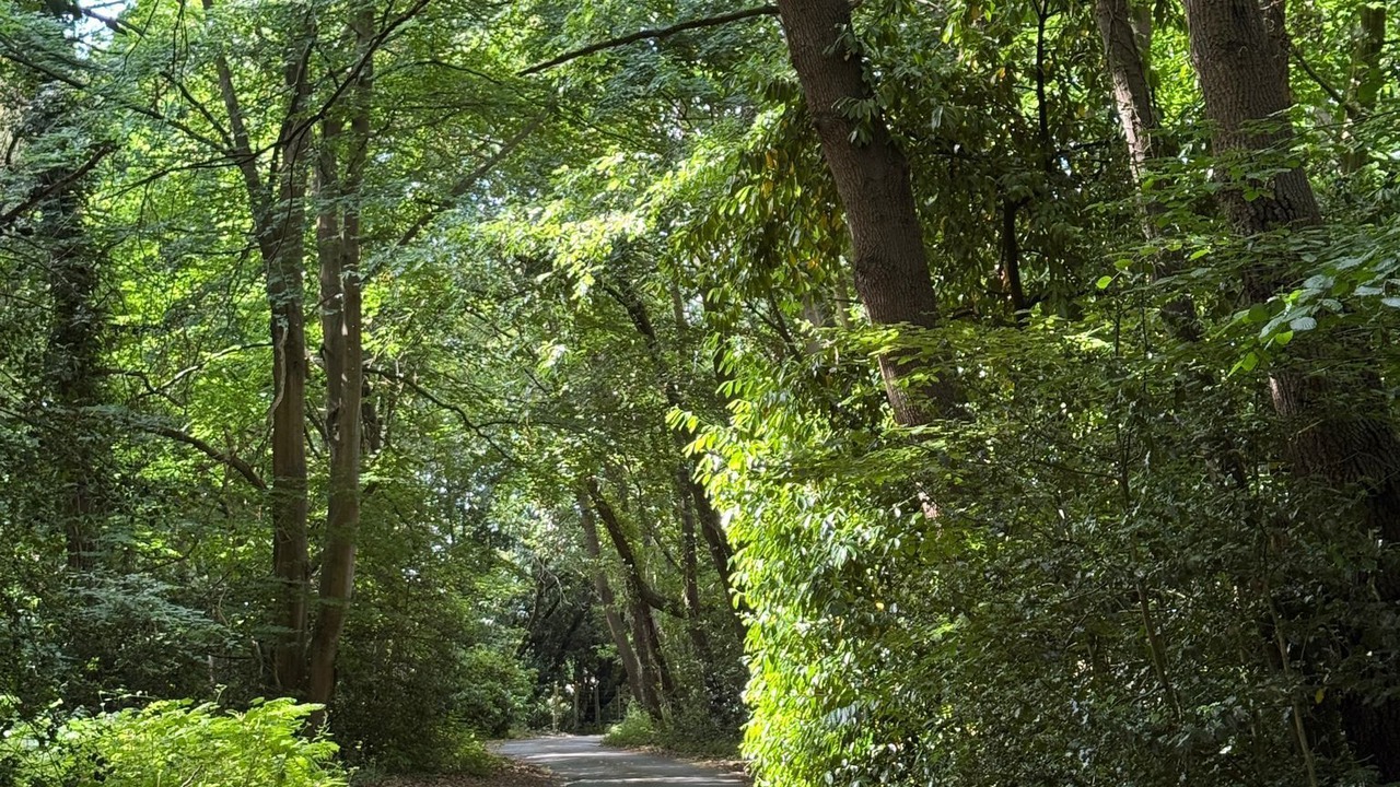 Photo of Others in Cobham