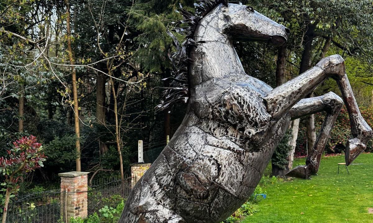 Photo of Others in Cobham