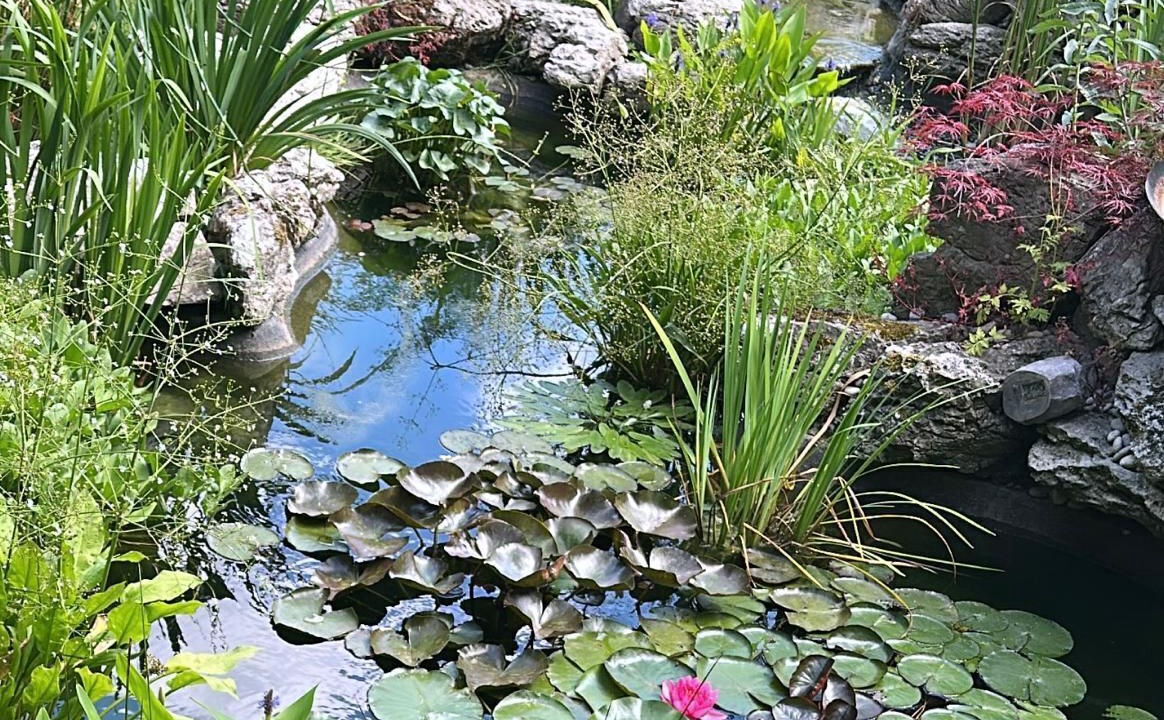 Photo of Outdoor in Cobham