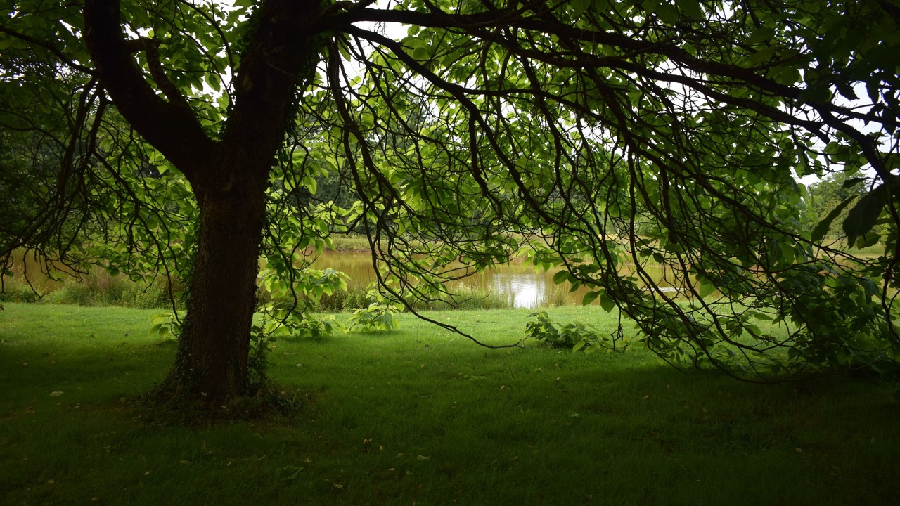 Photo of Outdoor in Saint-Lumine-de-Clisson