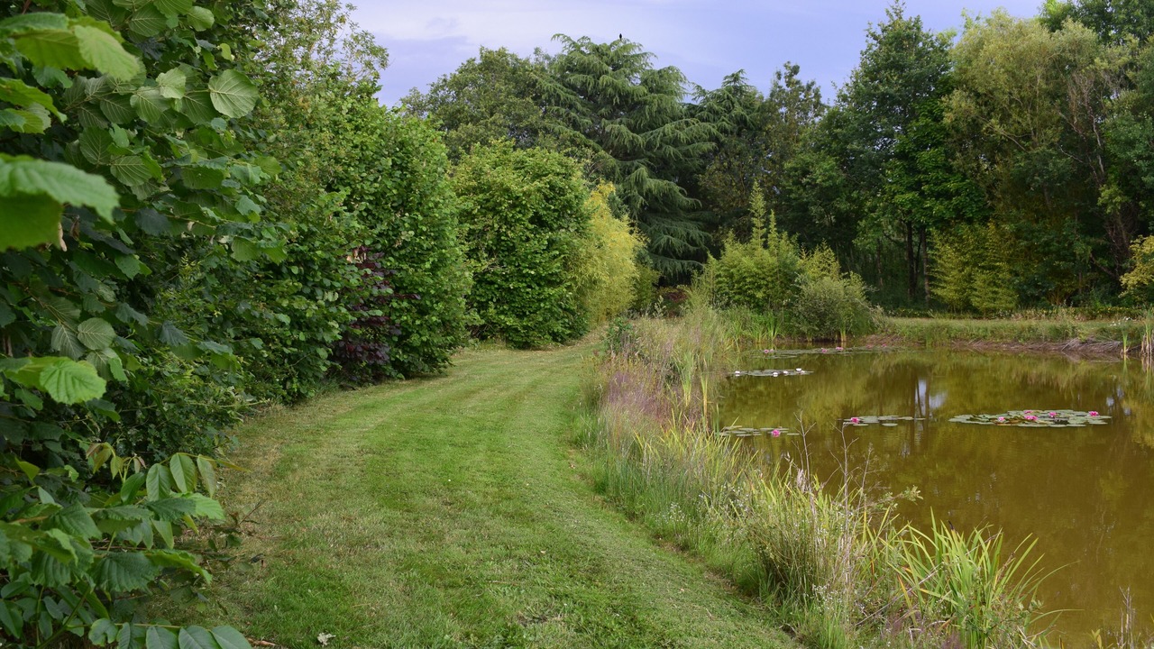 Photo of Outdoor in Saint-Lumine-de-Clisson