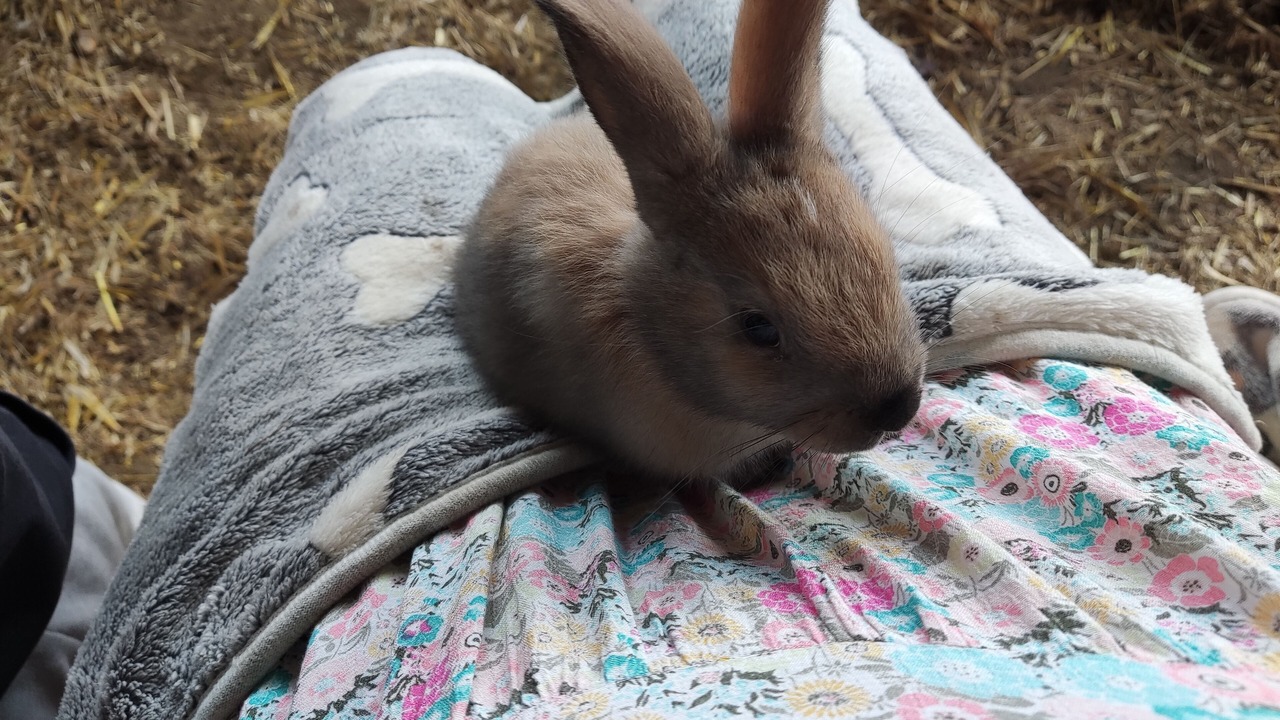 Photo of Others in Bournemouth