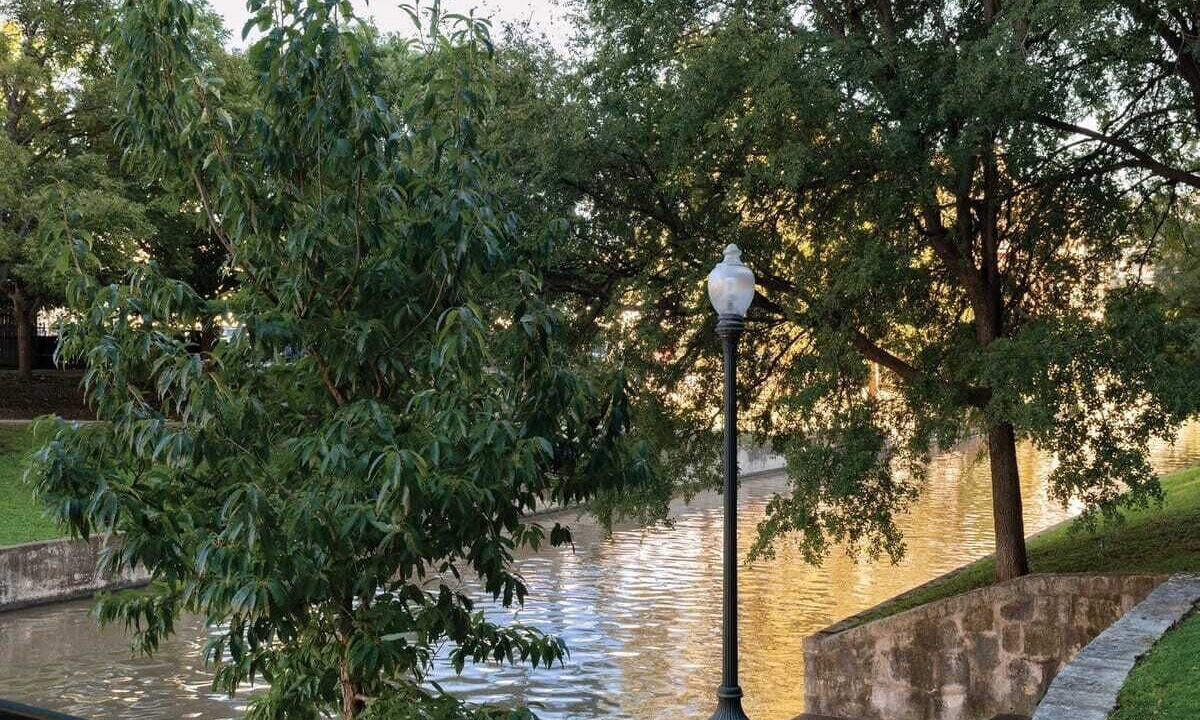 Photo of Outdoor in Downtown San Antonio
