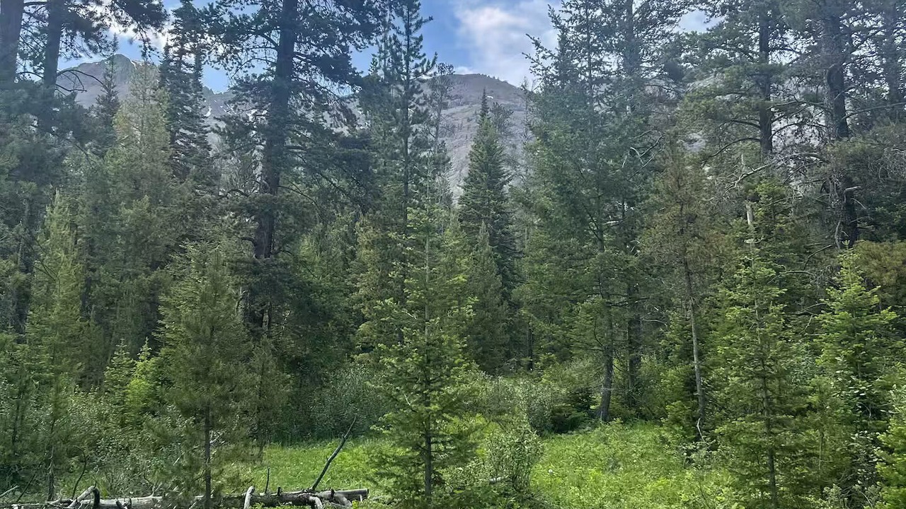 Photo of Others in Cooke City-Silver Gate