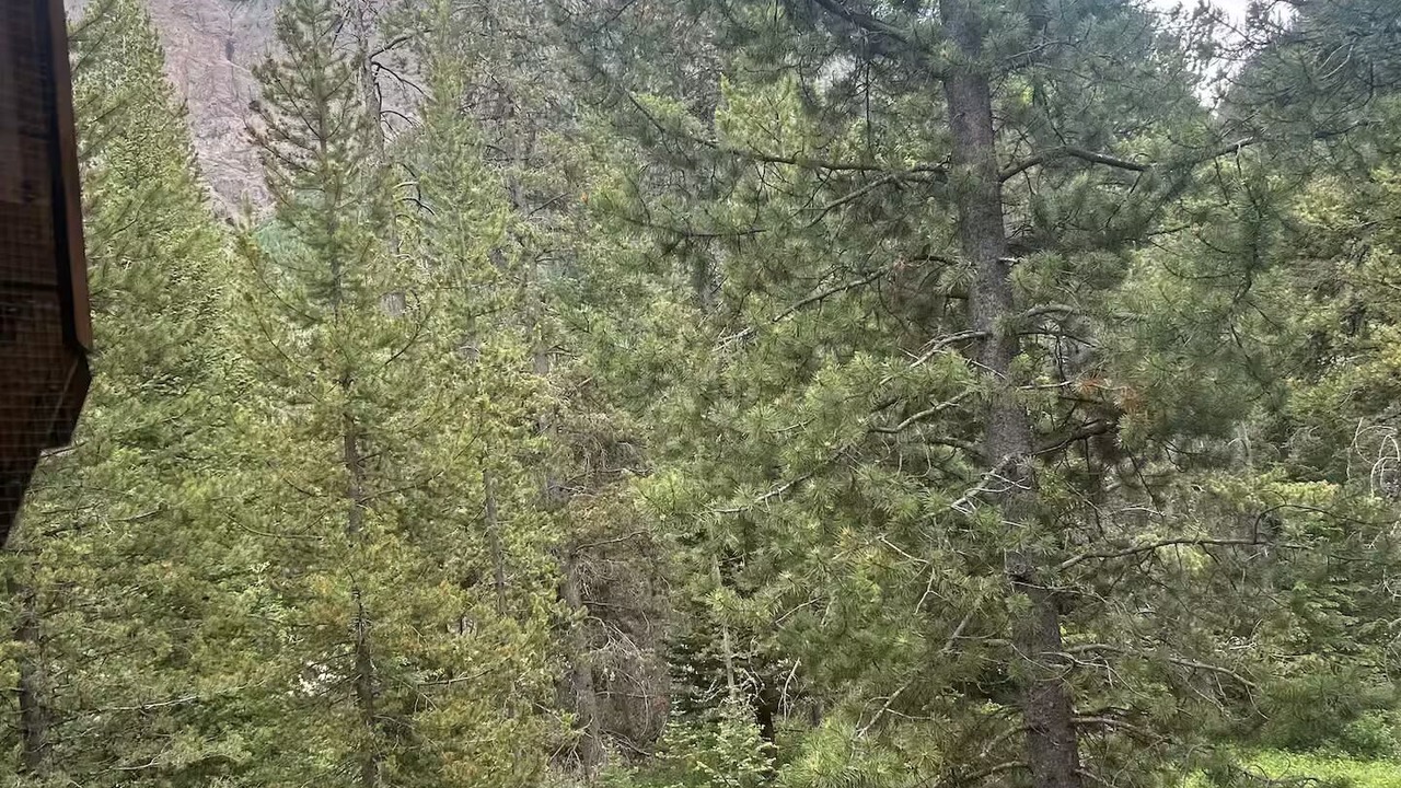 Photo of Others in Cooke City-Silver Gate
