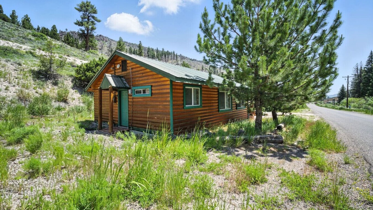 Photo of Outdoor in Mammoth Creek