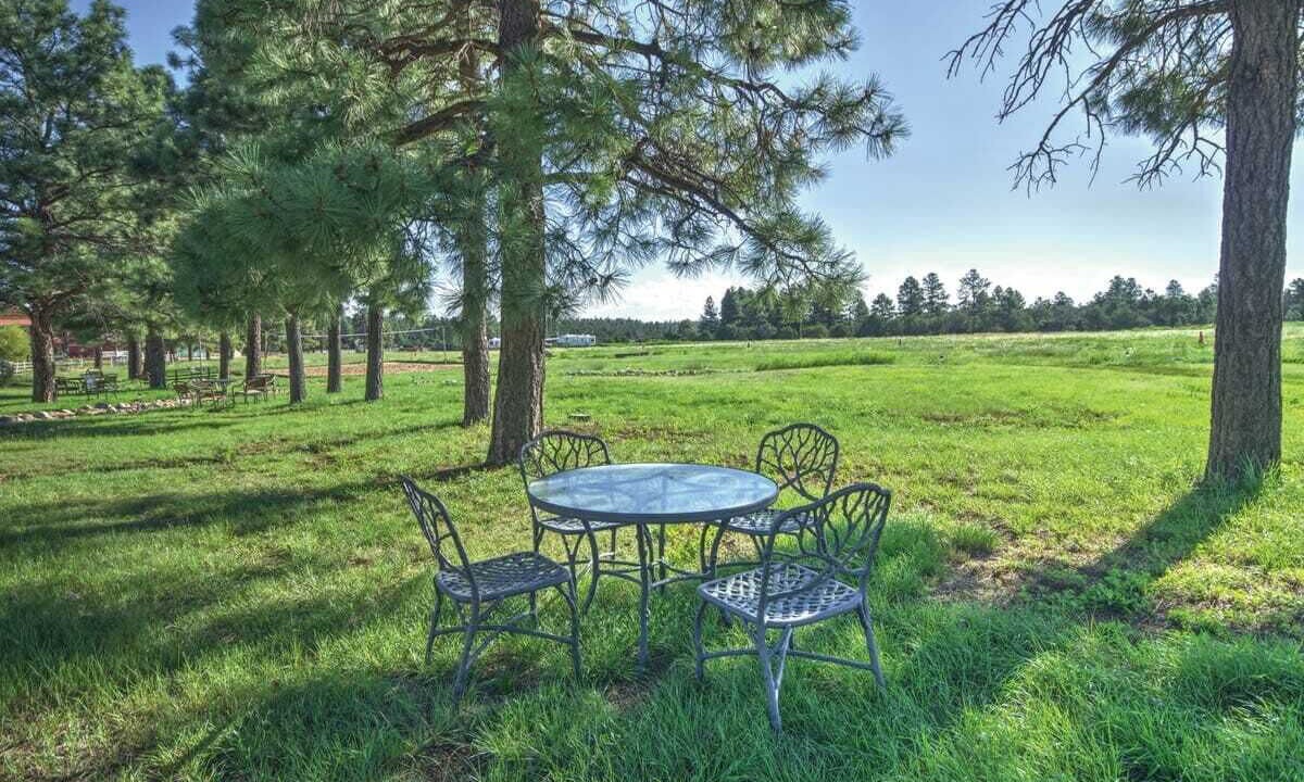 Photo of Outdoor in Heber