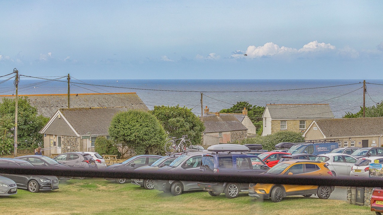 Photo of Others in The Lizard