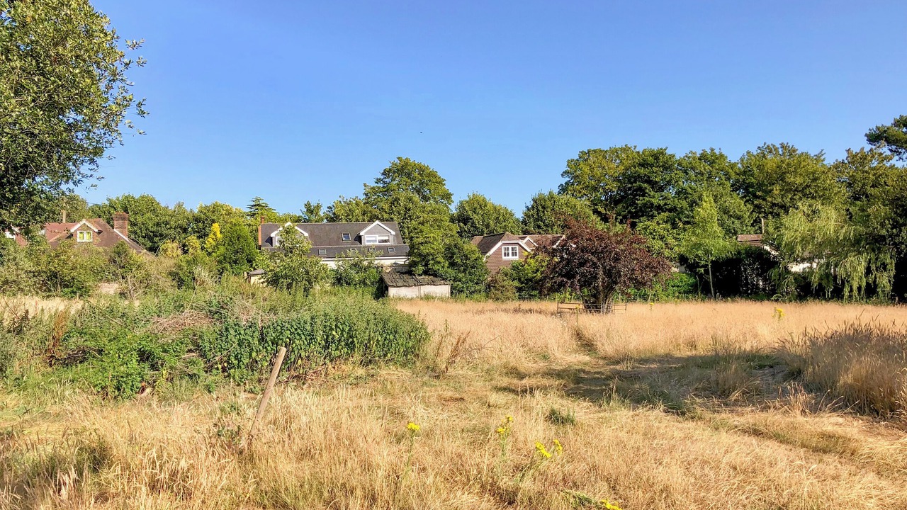 Photo of Others in Hailsham