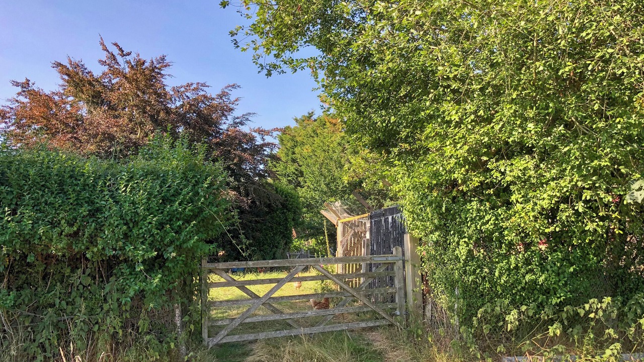 Photo of Others in Hailsham