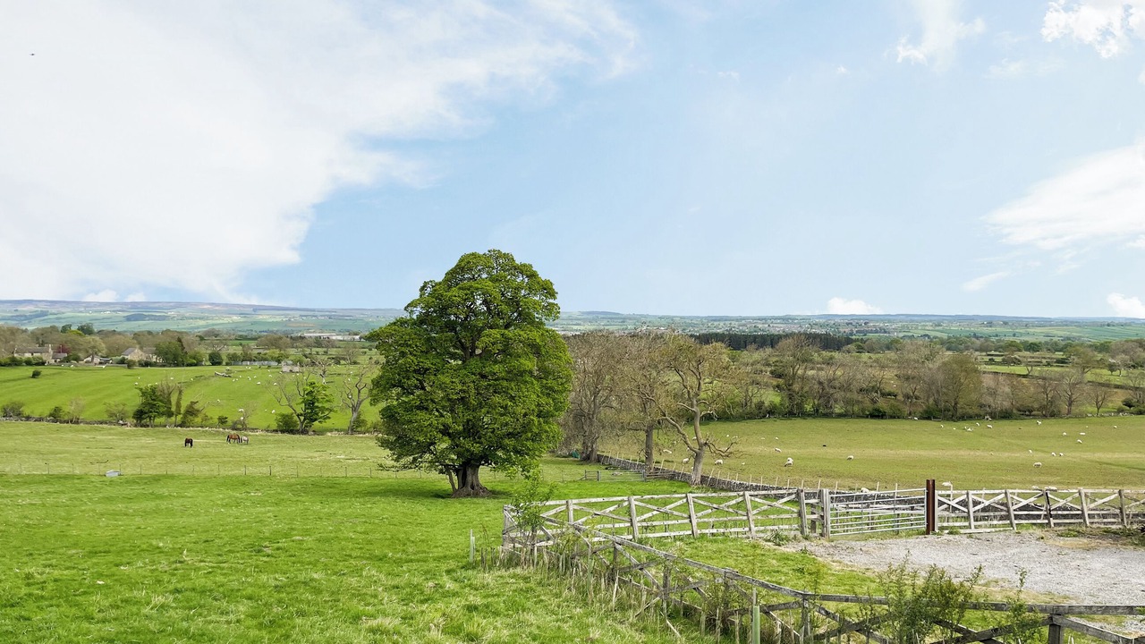 Photo of Outdoor in Barnard Castle