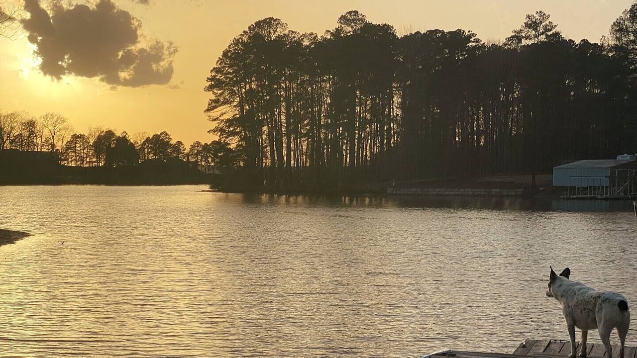 Photo of Outdoor in Chappells