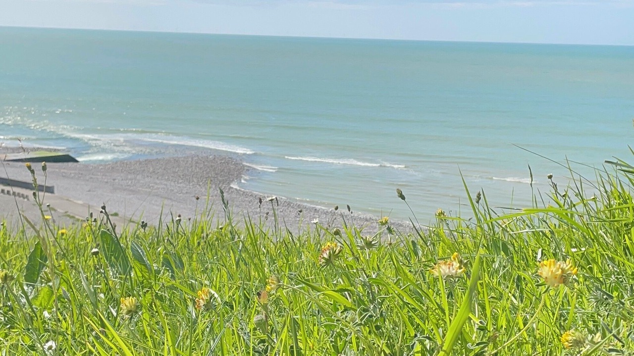 Photo of Others in Vittefleur