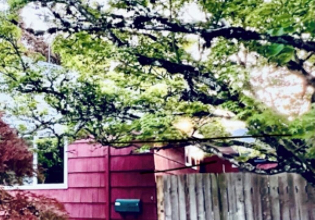 Photo of Outdoor in Northeast Neighbors