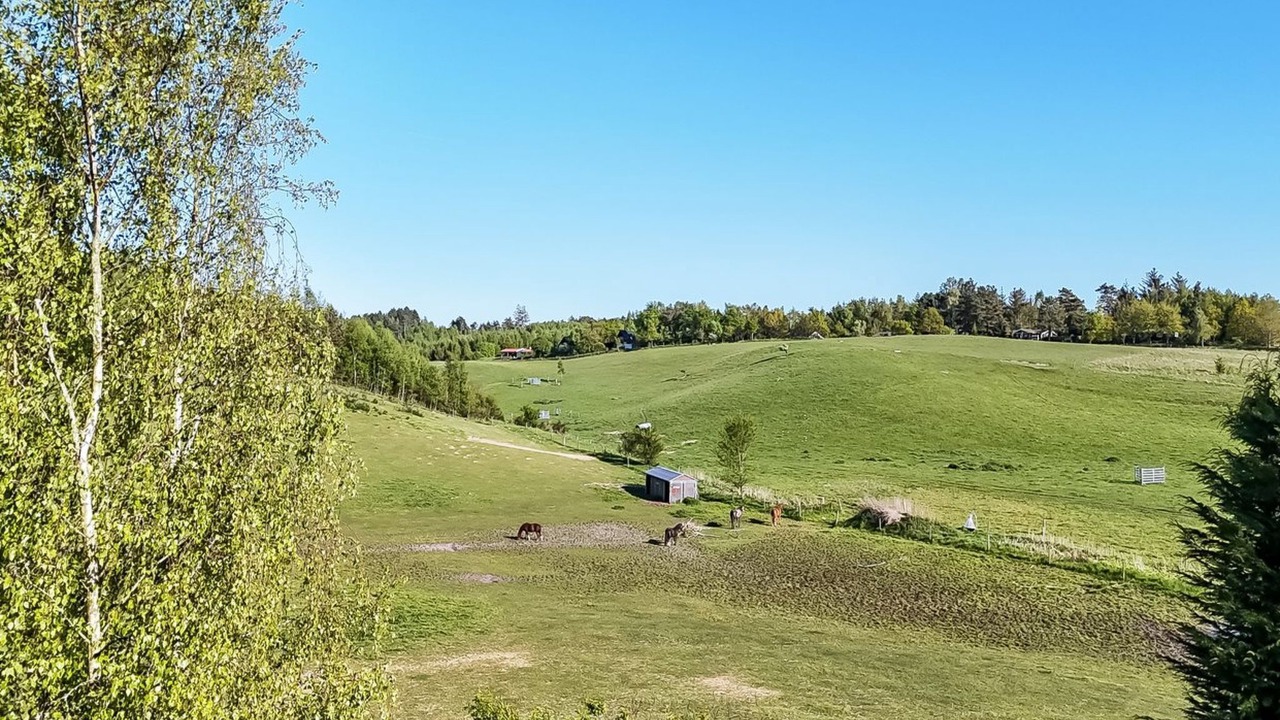 Photo of Others in Femmøller